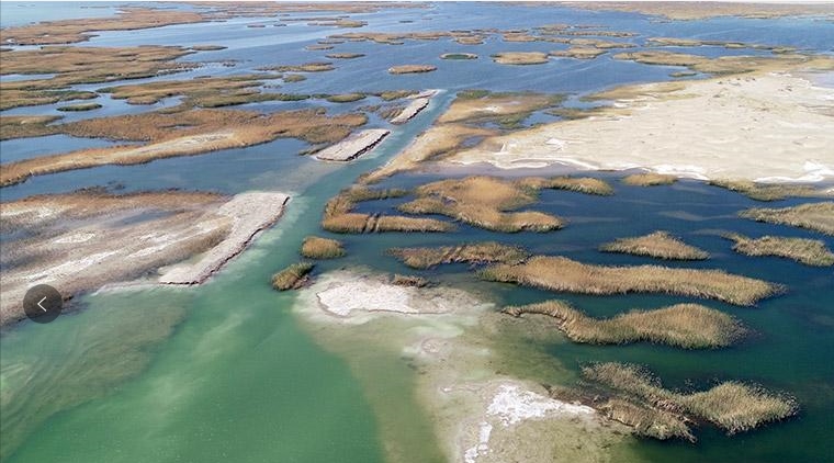 內(nèi)蒙古阿拉善:多彩額濟納 繽紛迎客來