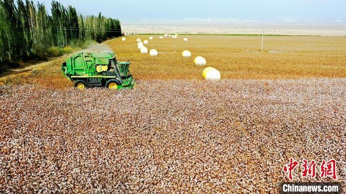 近年來，當(dāng)?shù)孛藁ǚN植戶的生產(chǎn)生活發(fā)生了翻天覆地的變化?！《?攝