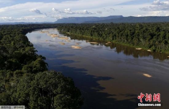 資料圖：亞馬孫雨林內(nèi)的河流。