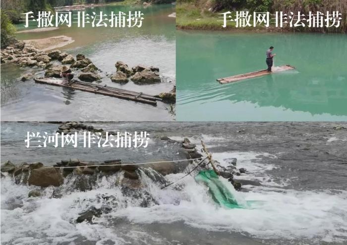 2021年9—10月，前期暗查發(fā)現(xiàn)，保護區(qū)核心區(qū)內(nèi)非法捕撈行為十分猖獗