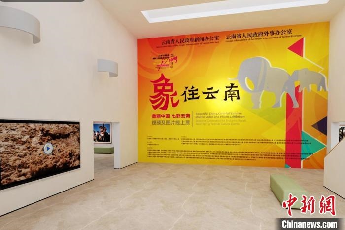 圖為“象”往云南——美麗中國 七彩云南視頻及圖片線上展截圖?！『h(yuǎn)航 攝