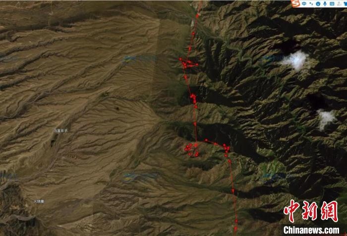 圖為雪豹故地重游來(lái)到放歸地的足跡?！?nèi)蒙古賀蘭山國(guó)家級(jí)自然保護(hù)區(qū)供圖