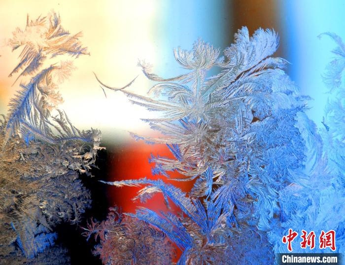 冰窗花千姿百態(tài)?！O書程 攝