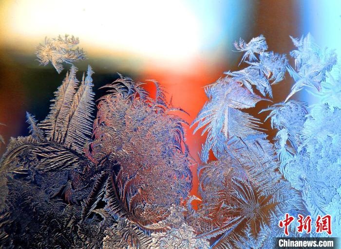 惟妙惟肖的冰窗花，似一幅風(fēng)景畫?！O書程 攝