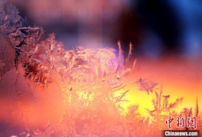 迎著光亮，冰窗花絢麗多姿?！O書程 攝