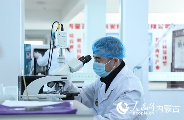 內(nèi)蒙古中農(nóng)興安種?？萍加邢薰韭鋺艨朴抑衅欤瑸槿馀．a(chǎn)業(yè)發(fā)展提供了優(yōu)質(zhì)的種源保障。白俊華攝