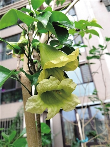 1593508753822347.jpg res01_attpic_brief.jpg