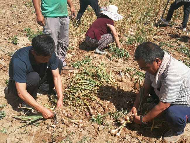 1625993879906504.jpg 微信圖片_20210711165600.jpg