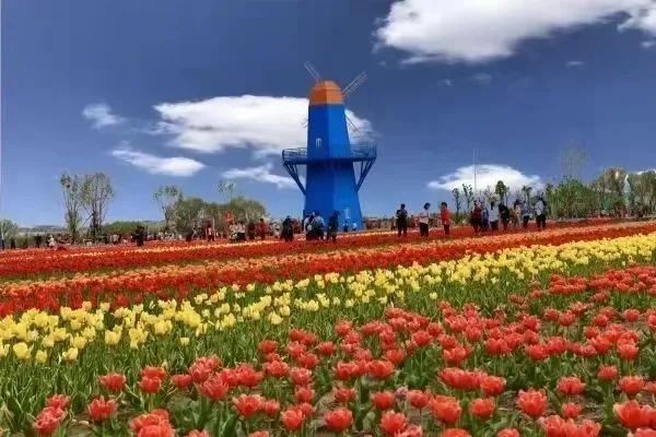 1652671353791010.jpeg 66304C385A916DABD4E851C0090A7708.jpeg