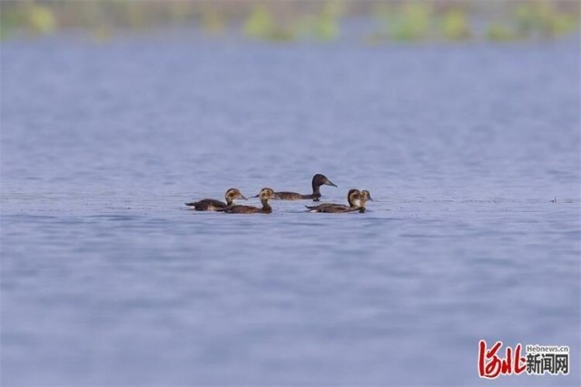 1660028652891833.jpg W020220808548520310277.jpg