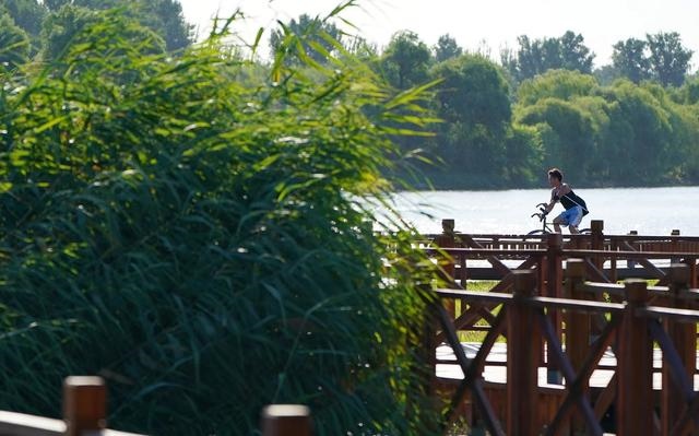 1662608166953885.jpg W020220907333440687169.jpg