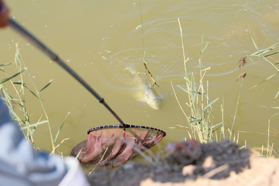 1693062480277770.jpg 7O5A8416.JPG