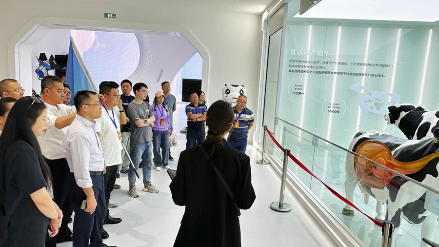 1695259982393095.png 641.png