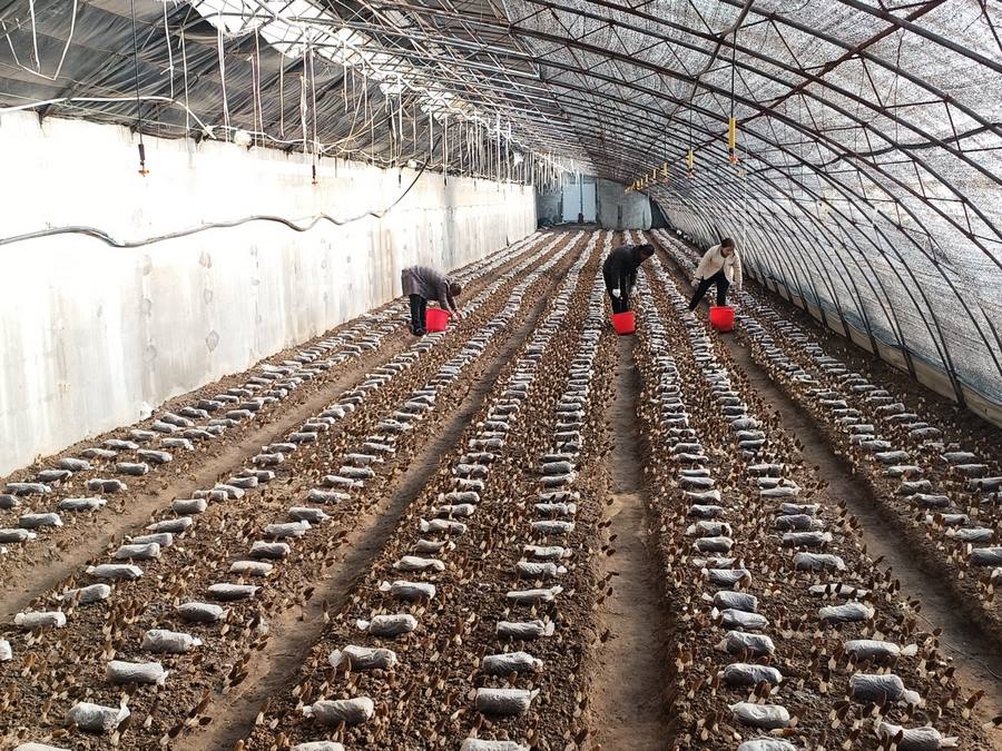 1707355486129254.png 圖片1.png