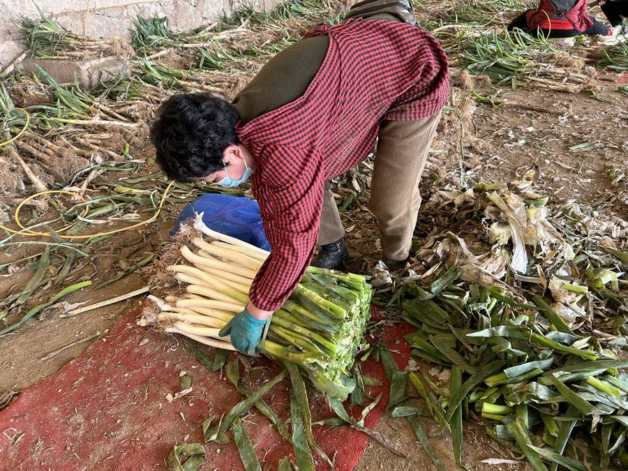 1712636367881376.jpg 10.jpg