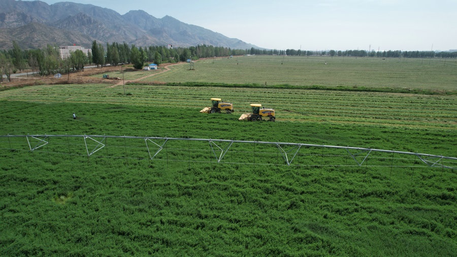 1716886135406047.jpg 2.jpg