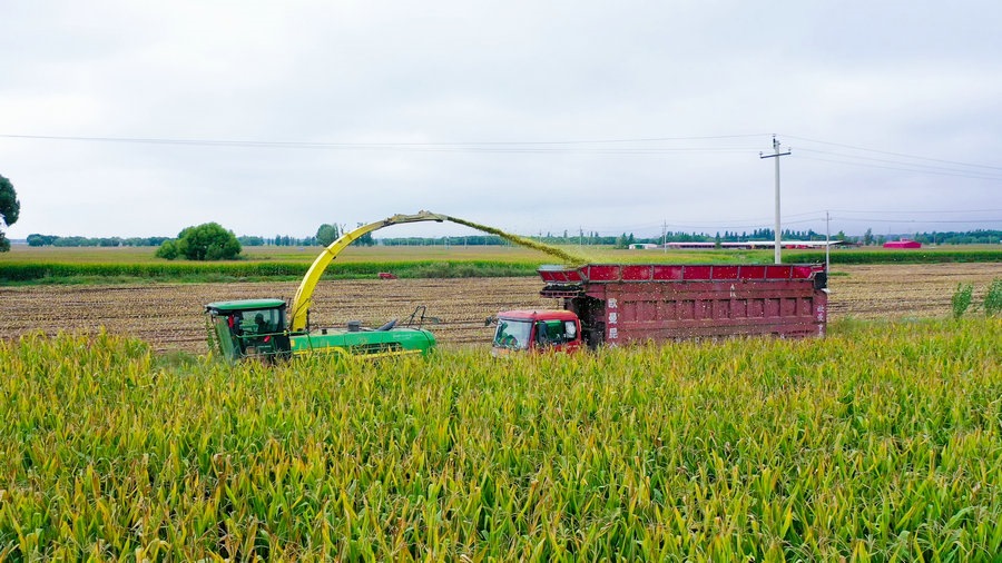 1727059163108831.jpg 微信圖片_20240918114855.jpg