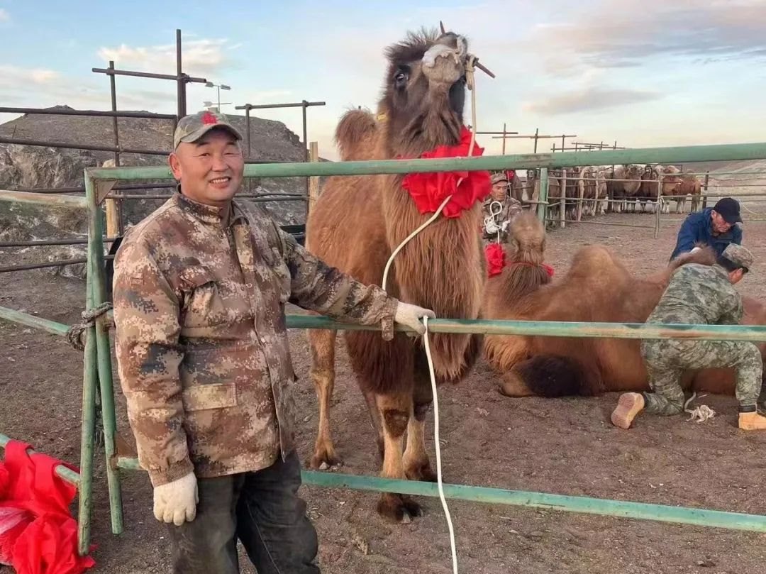 1732793643116482.jpeg 640-3.jpeg