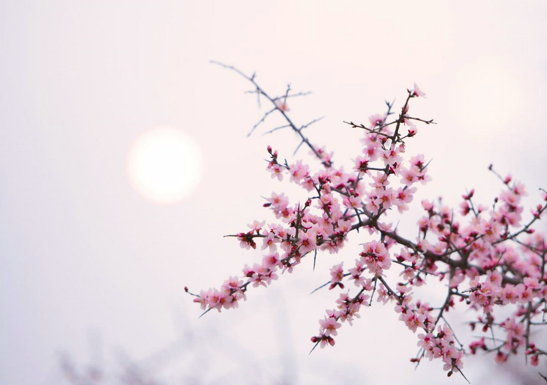 1744184261785416.jpg 土默川4.jpg