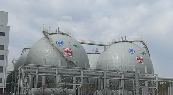 1744612377713509.png 01e87609dc7bf9a79d080c384c81fa53.png