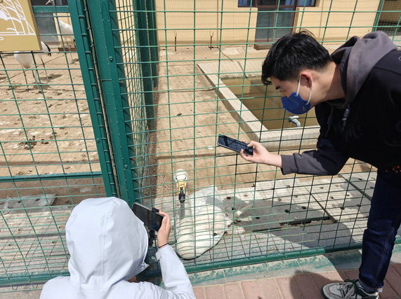 1744852482453856.jpg 東營1.jpg