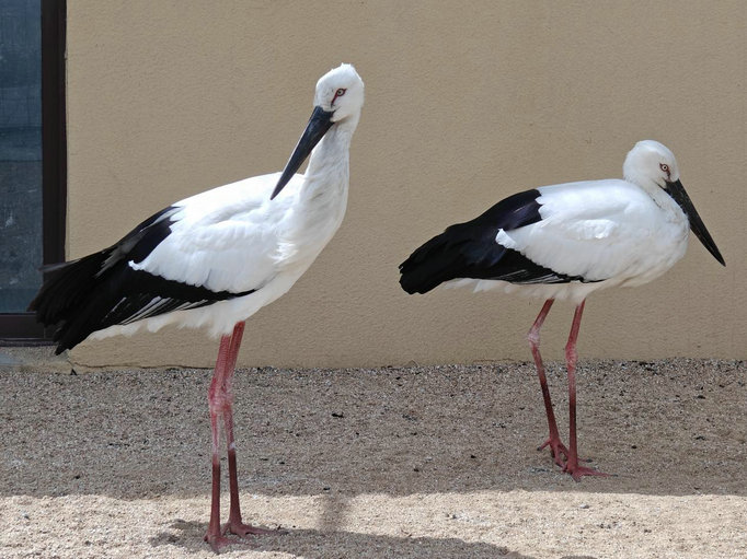 1744852581681623.jpg 東營4.jpg