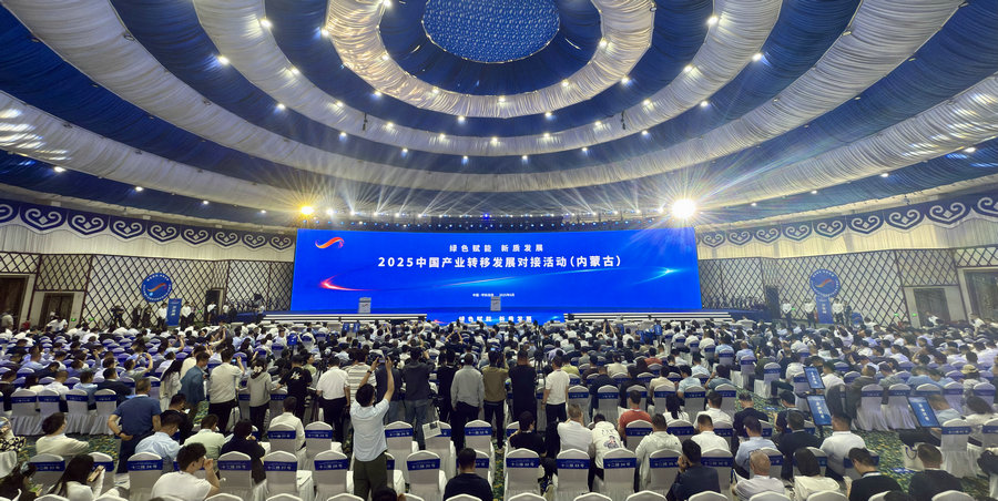 1749519132451317.jpg _DSC3228.jpg