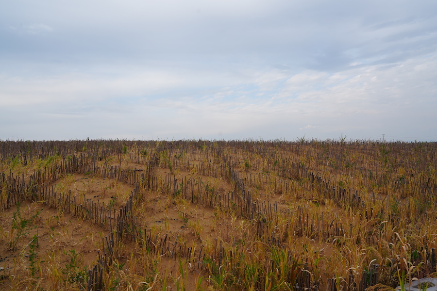 1758034517692510.jpg DSC07294.JPG