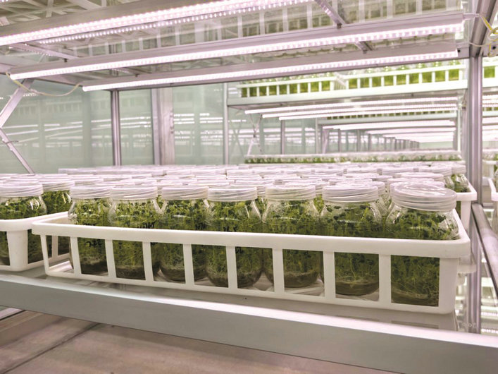 1760669747108026.jpg 農業(yè)2.jpg