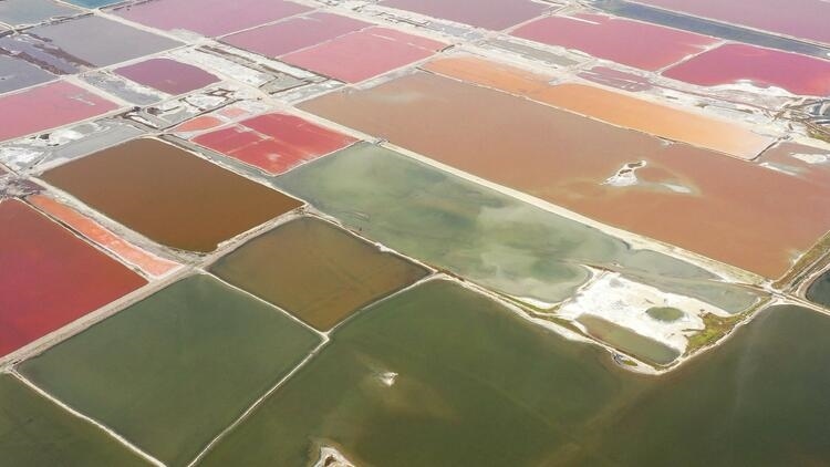 鑒往知來(lái)，跟著總書(shū)記學(xué)歷史丨走進(jìn)一座博物館，尋根五千年中華文明