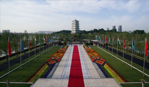 時(shí)政微觀察丨石榴花開的時(shí)節(jié)