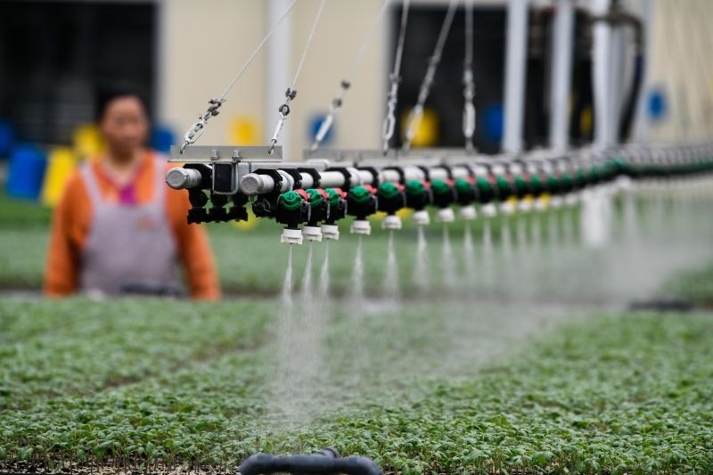 工人在貴陽(yáng)市開陽(yáng)縣楠木渡蔬菜良種繁育中心查看自動(dòng)噴灌系統(tǒng)給辣椒苗澆水情況（2023年5月24日攝）。新華社記者 楊文斌 攝