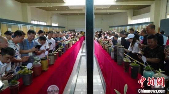 圖為活動(dòng)現(xiàn)場(chǎng)。 云南省委臺(tái)辦供圖