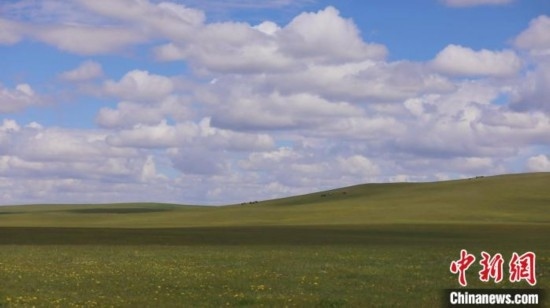 圖為點(diǎn)點(diǎn)新綠在原野上蓄勢待發(fā)。 歐戈 攝