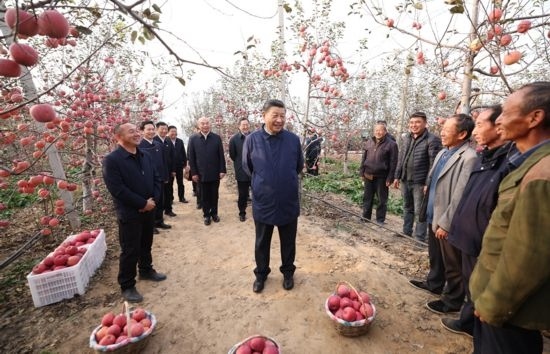 2022年10月26日，習(xí)近平總書記在陜西省延安市安塞區(qū)高橋鎮(zhèn)南溝村蘋果園同老鄉(xiāng)們親切交流。