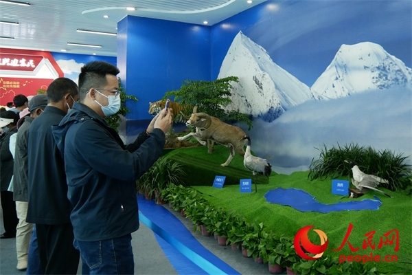 6月17日，觀眾正在觀展。人民網(wǎng) 韋衍行攝