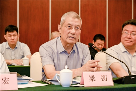 中國林業(yè)生態(tài)作家協(xié)會(huì)名譽(yù)主席梁衡發(fā)言。主辦方供圖