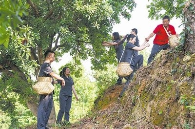 村民幫助志愿者爬上山坡。