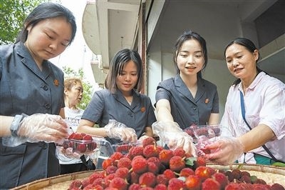 志愿者和村民一起將摘下的楊梅裝進(jìn)食品盒里。