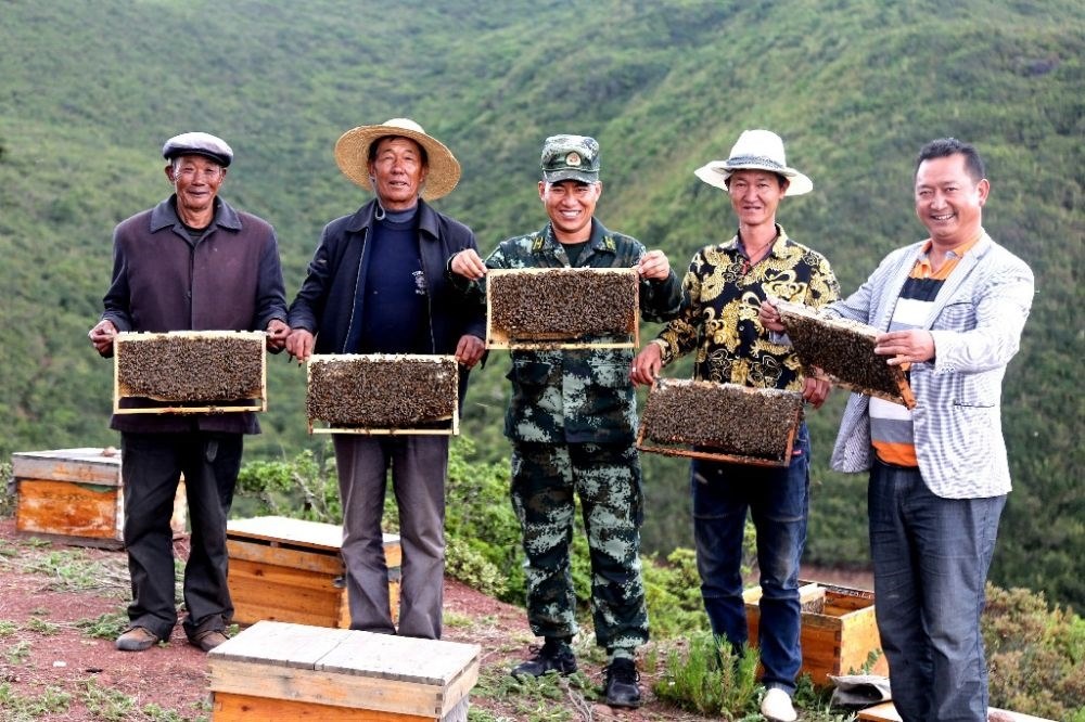 ↑武警四川總隊(duì)涼山支隊(duì)精準(zhǔn)幫扶昭覺縣梭梭拉打村發(fā)展養(yǎng)蜂產(chǎn)業(yè)，總隊(duì)駐村扶貧干部布哈（中）和村民一同展示豐收成果（2019年6月12日攝）。新華社發(fā)（楊劍 攝）