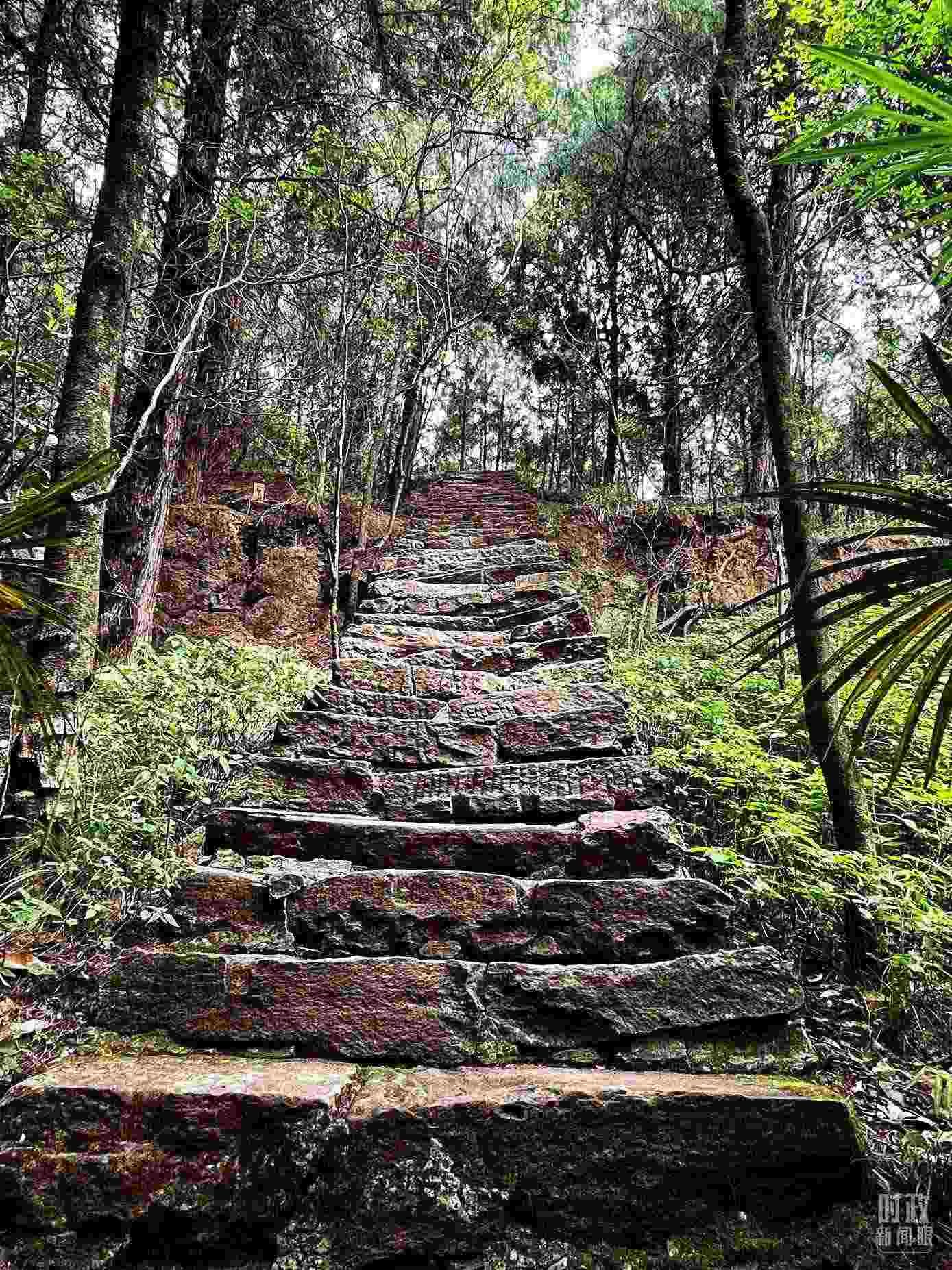 △古蜀道。（總臺央視記者郭曉龍拍攝）