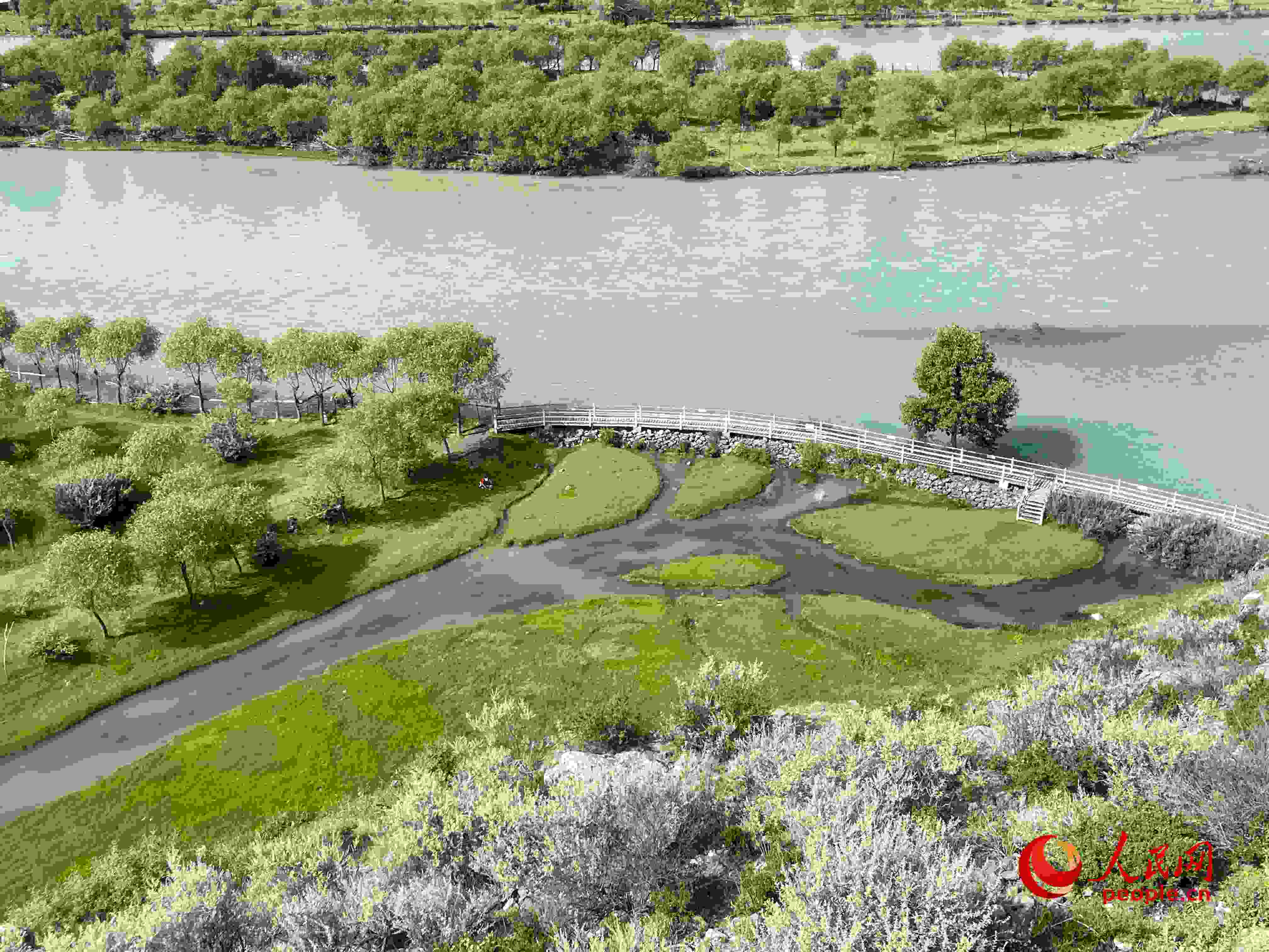 夏日的雅尼國家濕地公園生機盎然，如詩如畫。人民網(wǎng) 周靜圓攝