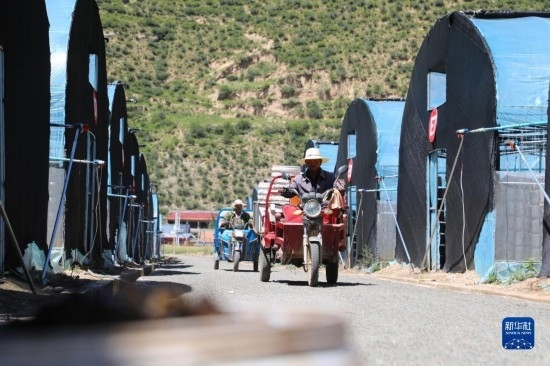 7月29日，農戶在卓尼縣納浪鎮(zhèn)納浪村黑木耳種植基地勞作。