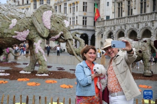 8月11日，觀眾在比利時布魯塞爾“鮮花時光”展覽上拍照。新華社記者 趙丁喆攝