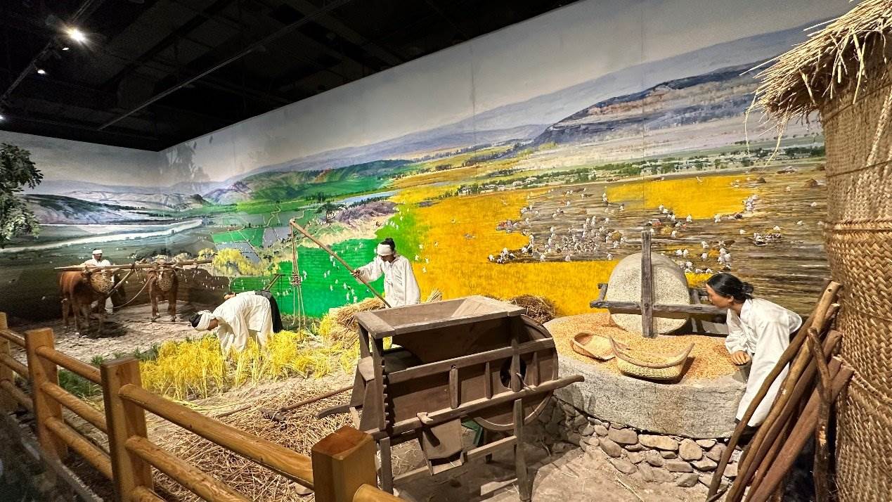 《朝鮮族民俗陳列》展廳。人民網(wǎng)記者 金洪花攝