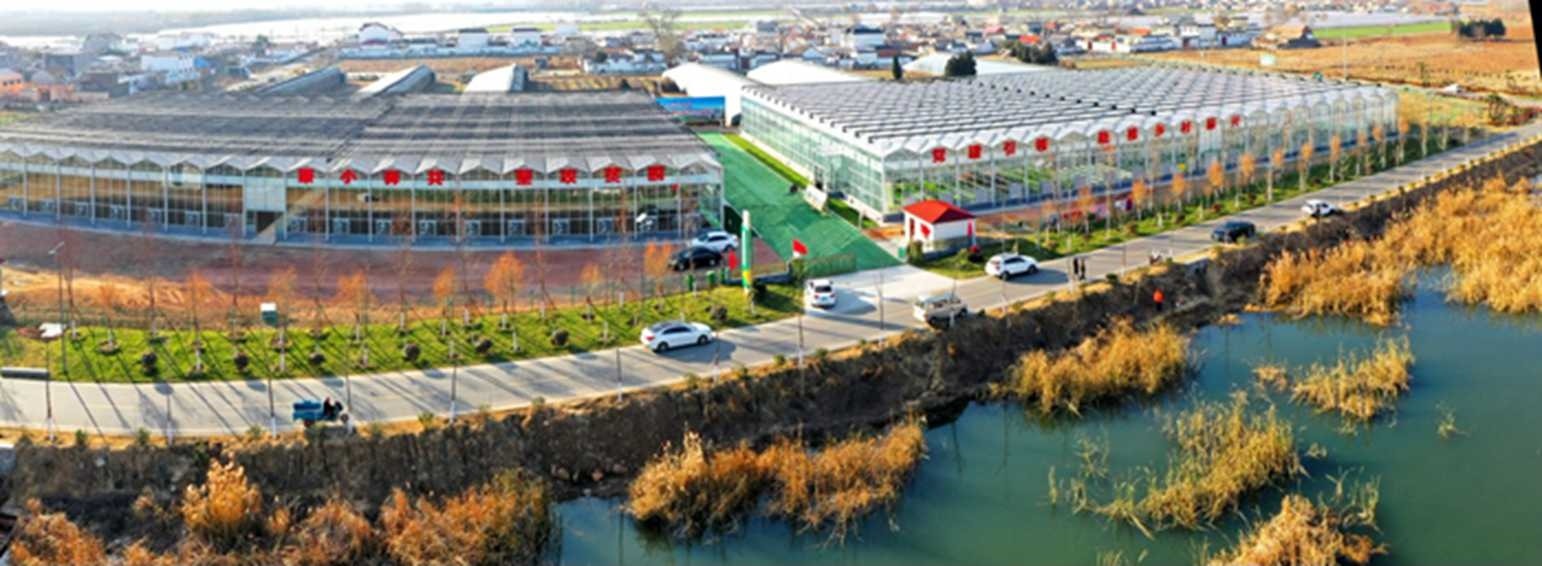 白樓灣三產(chǎn)融合發(fā)展。宋道森攝