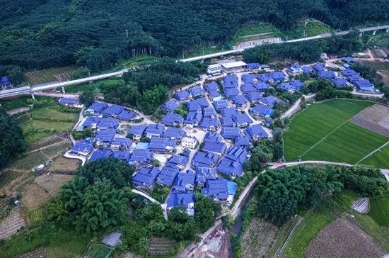 磨憨鎮(zhèn)曼莊村大龍哈小組現(xiàn)代化邊境幸福村新貌。人民網(wǎng)記者 符皓攝