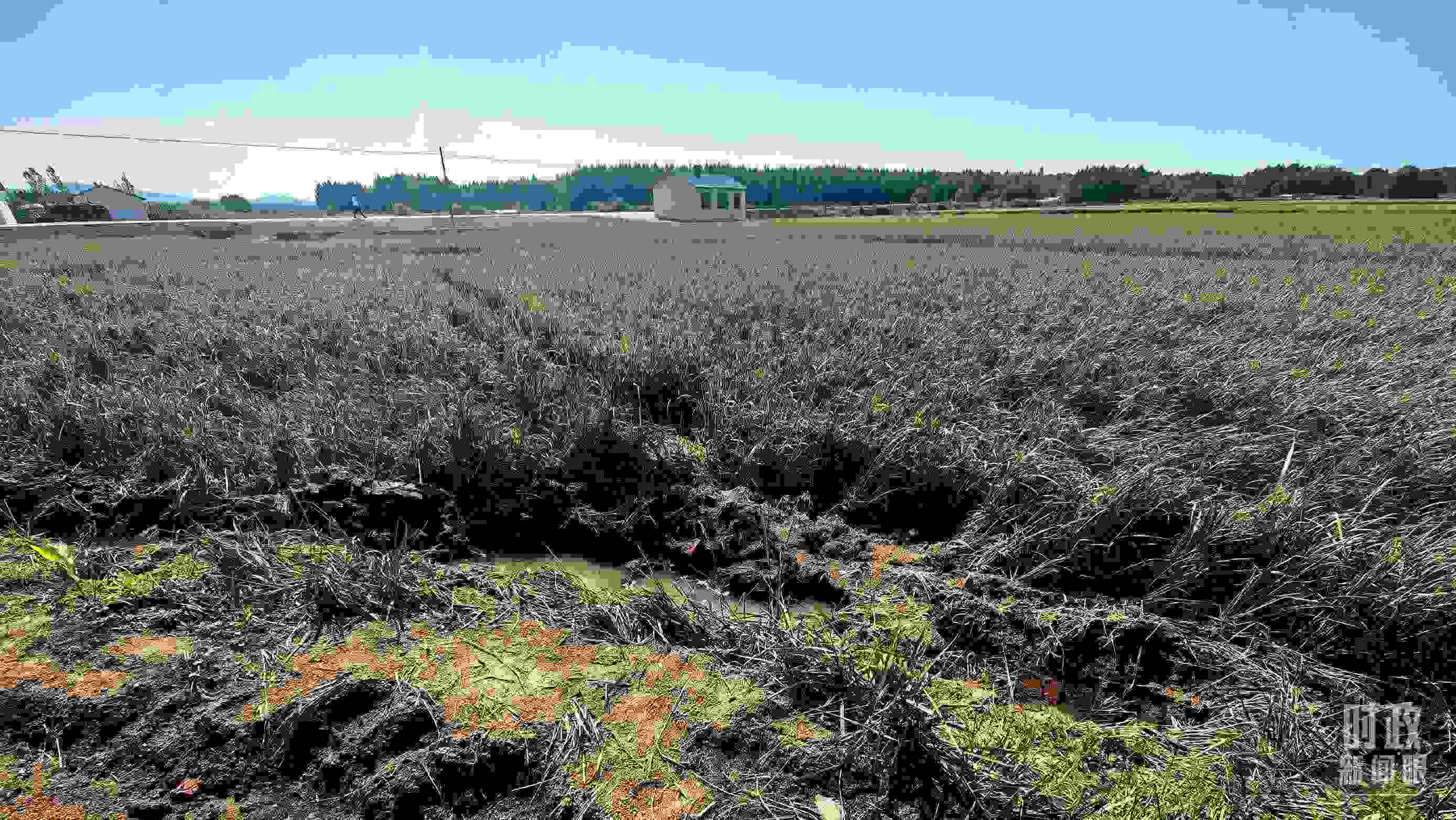 △圖為龍王廟村在洪災(zāi)中受損的農(nóng)田。（總臺央視記者史偉拍攝）