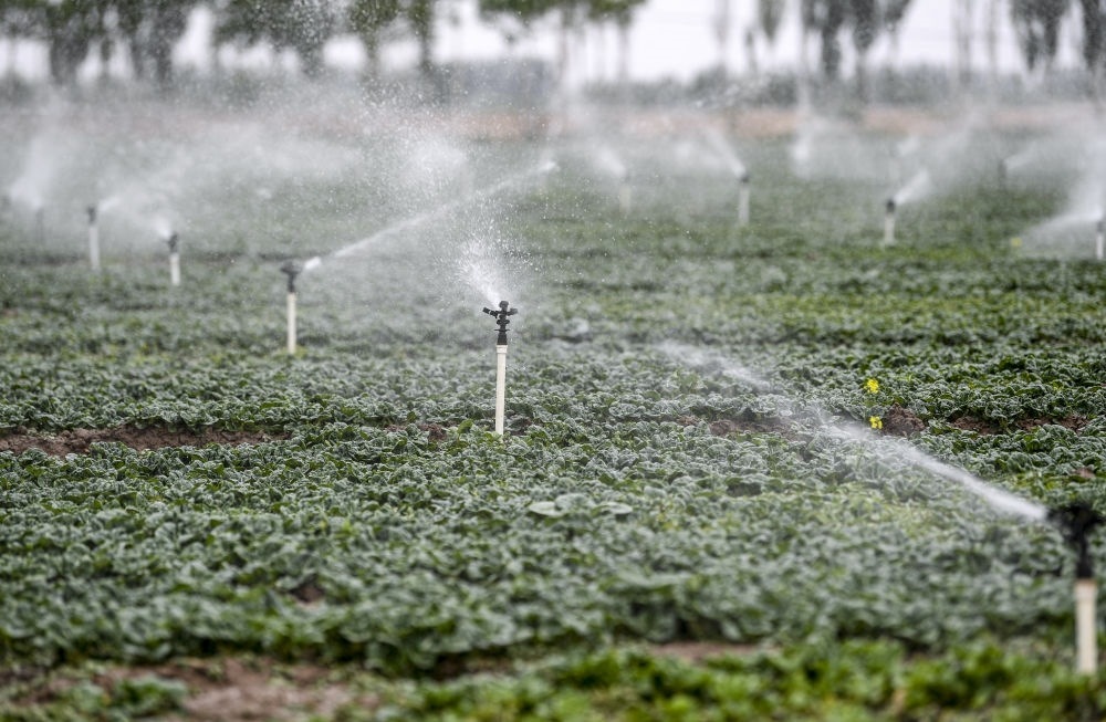 2023年5月25日，在寧夏銀川市永寧縣望洪鎮(zhèn)宋澄村冷涼蔬菜種植基地，小型噴灌節(jié)水設(shè)備在進行噴灌作業(yè)。新華社記者 馮開華 攝