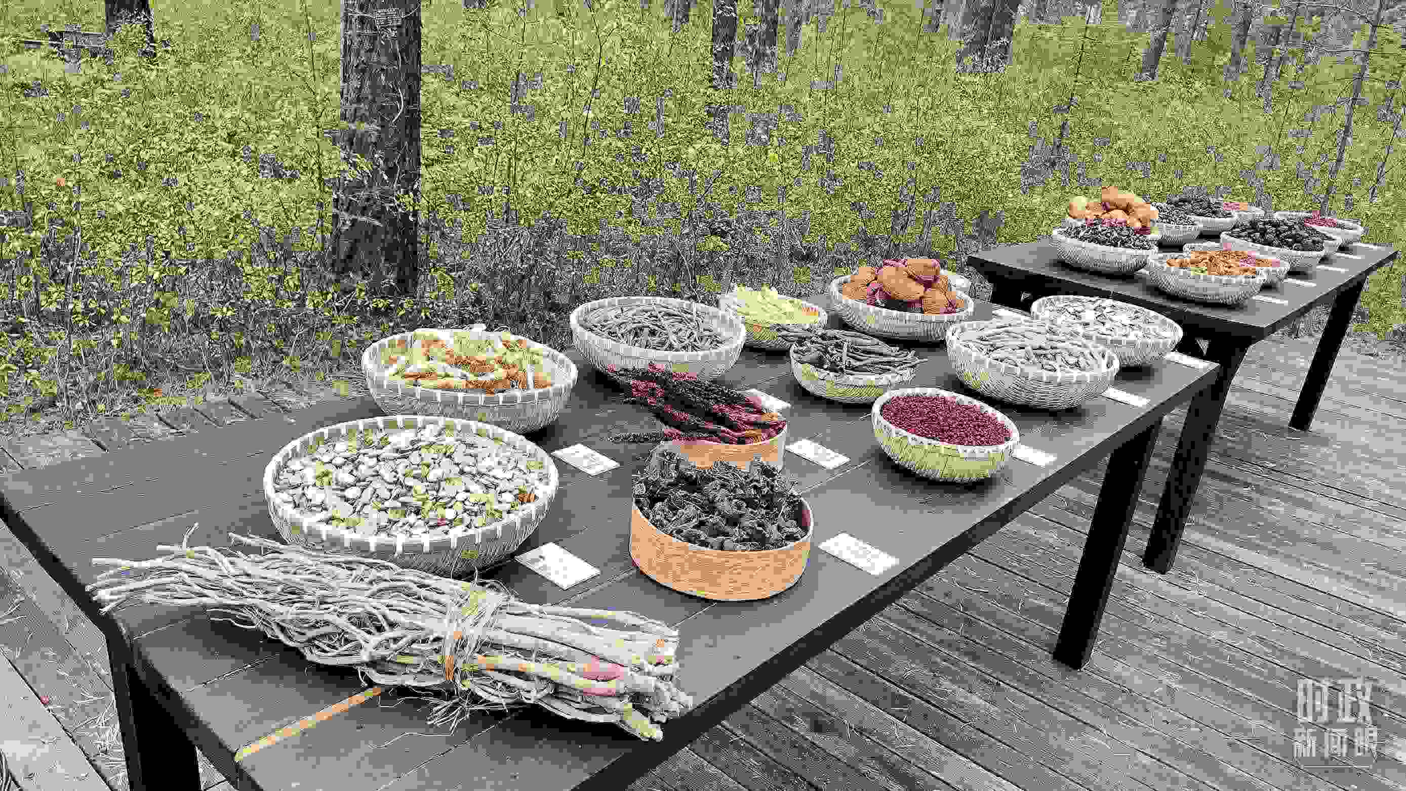 △林場里的食用菌、林果等特產(chǎn)。（總臺央視記者楊立峰拍攝）